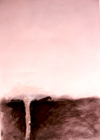 017 (7)