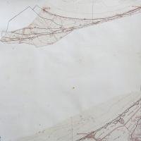 IMG_0510_w200_h200_cw200_ch200_thumb