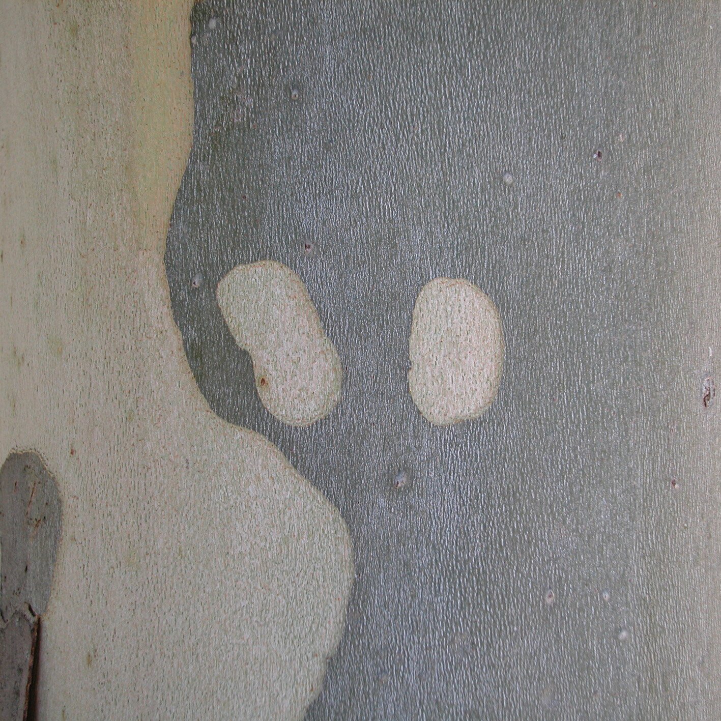 1140