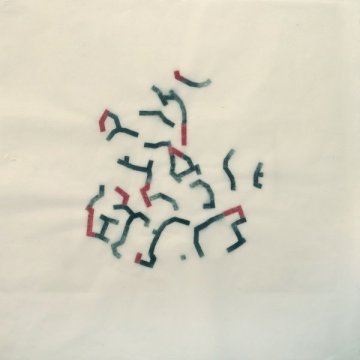 Dibuix 31